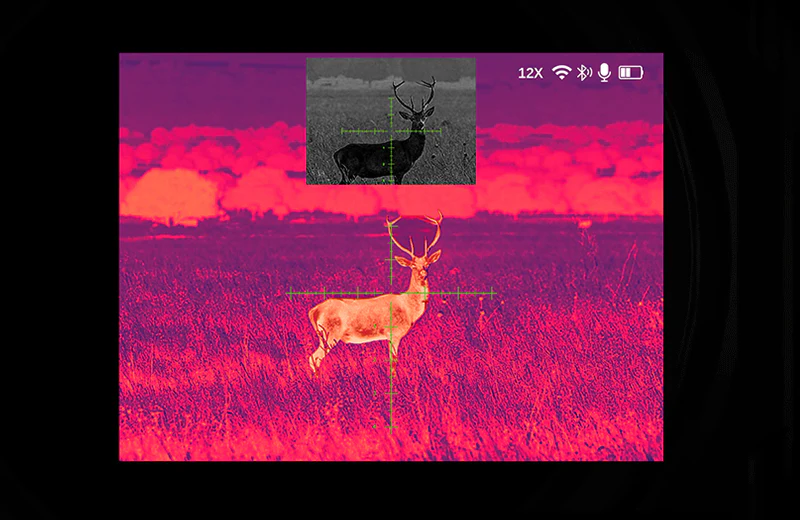 225RDescription-s3003